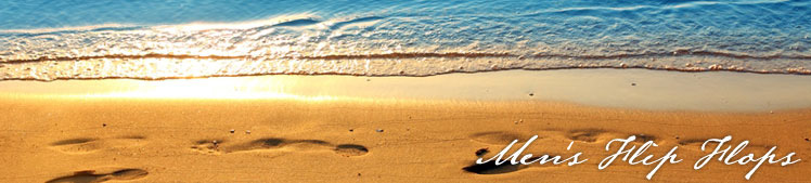 Flip Flops